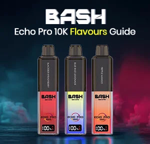 Bash Echo Pro 10K Flavours Guide – Which One Should You Choose?