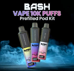 Bash Vape Echo Pro 10K Prefilled Pod Kit - A Complete Review & Guide