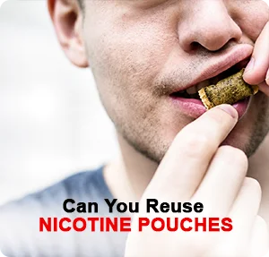 Can You Reuse Nicotine Pouches
