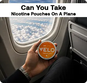 Take Nicotine Pouches On A Plane