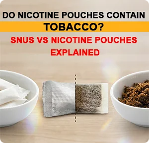 Do Nicotine Pouches Contain Tobacco? Snus vs Nicotine Pouches Explained