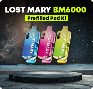 Lost Mary BM6000 Review – Full Guide to the BM6000 Pod Kit