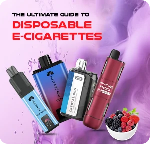 The Ultimate Guide to Disposable Vapes