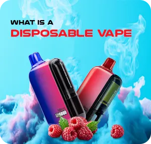 What Is a Disposable Vapes