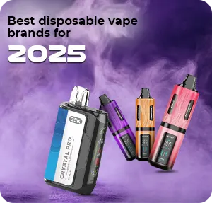 Best Disposable Vape Brands In 2025