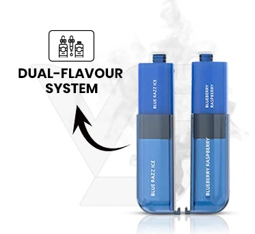 Dual-Flavour System