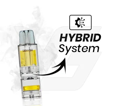 Hybrid System